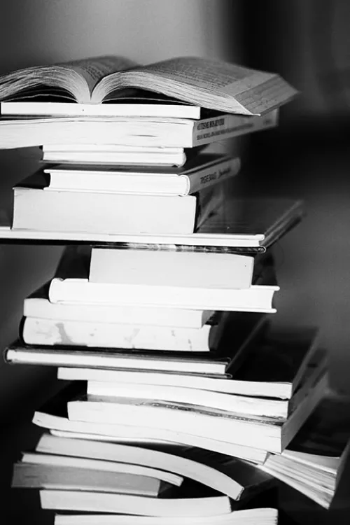 Stack of boring looking books